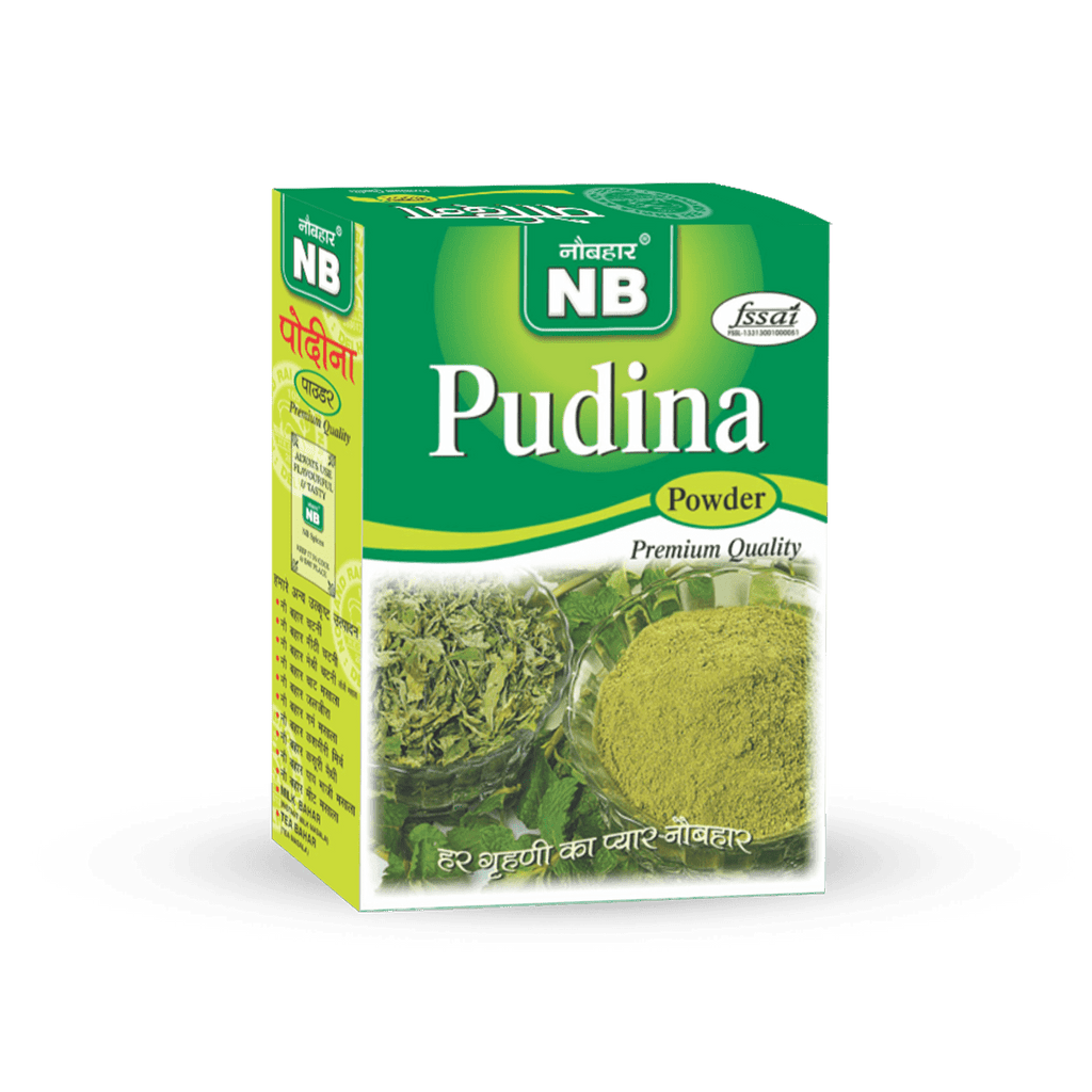 pudina powder (100 GM) - Naubahar Masale