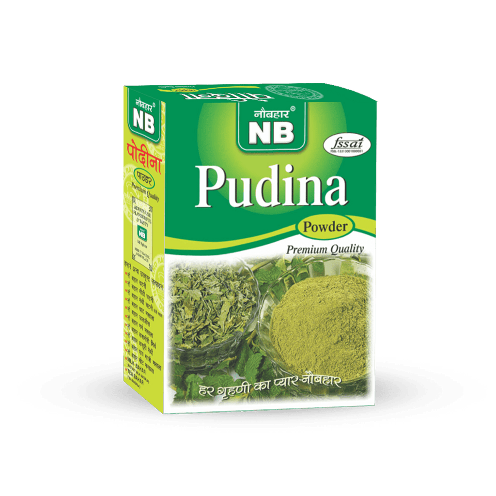 Pudina Powder (100 gm) - Naubahar Masale