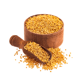 Sarso (200 gm)